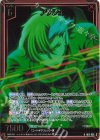 IG13-029 RH アッシュ(ホロ)