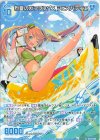 IG13-065 R 烈夏のXIフラッグス シェスパティエ