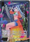 IG14-002 NH リゾート満喫中 ニュー(ホロ)