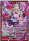  IG14-042 SRH 舞雪奏声 カナ(ホロ) 