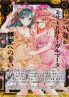 P30-034 PRH ミサキとサー・ガルマータ 輝星への誓い(ホロ)