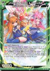  P44-029 PR PHOSFLAMME ＆ SAKURA guidance of the wind 