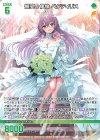  PR05-005 PR 頬笑§偶像 ペクティリス 