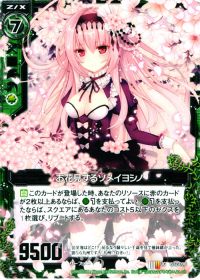 UCお花見するソメイヨシノ