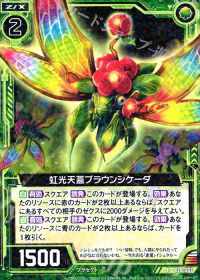 R虹光天蓋ブラウンシケーダ